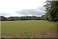 Playing field, Eastham Country Park