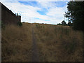 Path towards Blackheath