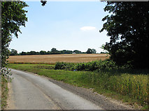 TL9777 : Crop fields beside Hollow Lane by Evelyn Simak