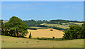 Farmland, Linkenholt, Hampshire