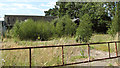 Derelict garden centre, Garboldisham