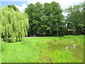 The village pond, Newton Valence