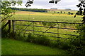 Field gate at Higher Berrycourt