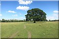 Footpath near Henton