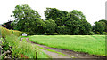 Farmland Near Gosforth