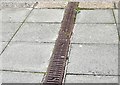 Wavin drain cover, Belfast - July 2015 (1)