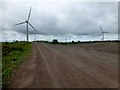 NS9155 : Junction On Wind Farm Road by Rude Health 