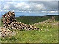 NT8919 : Auchope Cairn by Andrew Curtis