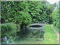 The New River in Spitalbrook