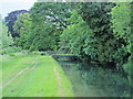 The New River in Spitalbrook (4)