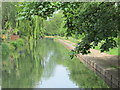 The New River north of Upper Marsh Lane, EN11