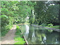 The New River south of Riversmead, EN11