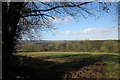 Field by the Tamar Valley Discovery Trail