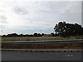 TL9929 : Colchester Park & Ride by Geographer