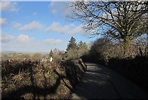SX4271 : Lane at North Dimson by Derek Harper