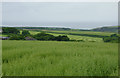 Farmland near Docton, Devon