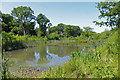 Eastern Pond, Bookham Common