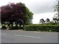 Entrance to Glenholm Park, Crook