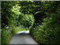 Lane to Welcombe, Devon