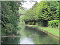 The New River north of Condats Lane East, EN11