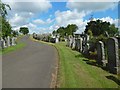 NS5572 : New Kilpatrick Cemetery: eastern boundary by Lairich Rig