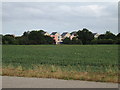 Houses on Mill Road