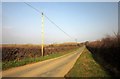 SX2693 : Road east of Maxworthy by Derek Harper