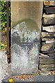 Benchmark on gatepost of #83 Moorhead Lane