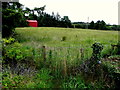 Nedsherry Townland