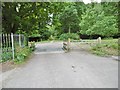 Cadnam, cattle grid