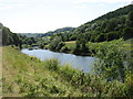 The River Wye nearing Redbrook