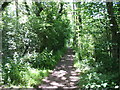 The Wye Valley Walk south of Narth