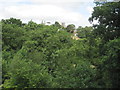 Looking towards Lapford, through the trees