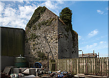 S1332 : Castles of Munster: Castleblake, Tipperary (3) by Mike Searle