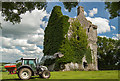 S0823 : Castles of Munster: Loughlohery, Tipperary - revisited (2) by Mike Searle