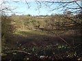 Open space by the River Sherbourne, Whitley, Coventry