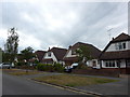 Houses in Woodlands Avenue