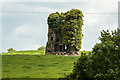 S3221 : Castles of Munster: Ballyclohy, Waterford by Mike Searle