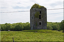 R4366 : Castles of Munster: Rathlaheen, Clare (2) by Mike Searle