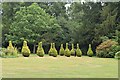 Topiary Triffids