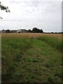 Footpath towards Hardwick End