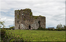 S7415 : Castles of Leinster: Killesk, Wexford (2) by Mike Searle