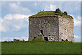 S6450 : Castles of Leinster: Neigham, Kilkenny (1) by Mike Searle