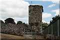 S6434 : Castles of Leinster: Brownsford, Kilkenny (1) by Mike Searle