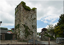 S6434 : Castles of Leinster: Brownsford, Kilkenny (2) by Mike Searle