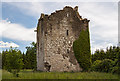 S2470 : Castles of Leinster: Castle Pierce, Kilkenny (1) by Mike Searle