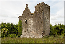 S2470 : Castles of Leinster: Castle Pierce, Kilkenny (3) by Mike Searle