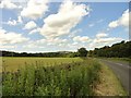 View west along the lane near Ragpath Heath