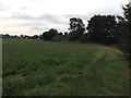 Bridleway from Ravensden