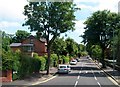 Leafy suburbs - Knockbreda Road, South Belfast